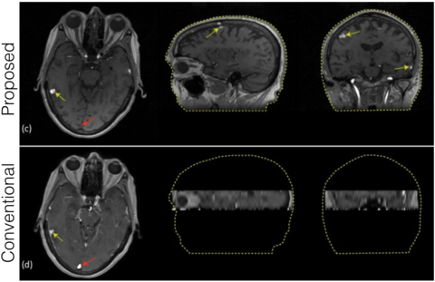 Figure from journal article