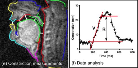 Figure from journal article