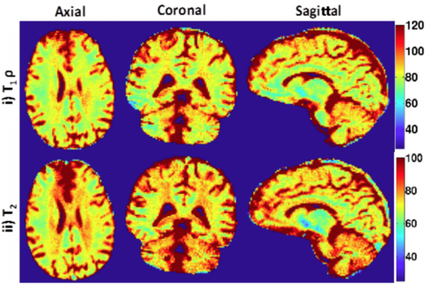 Figure from journal article