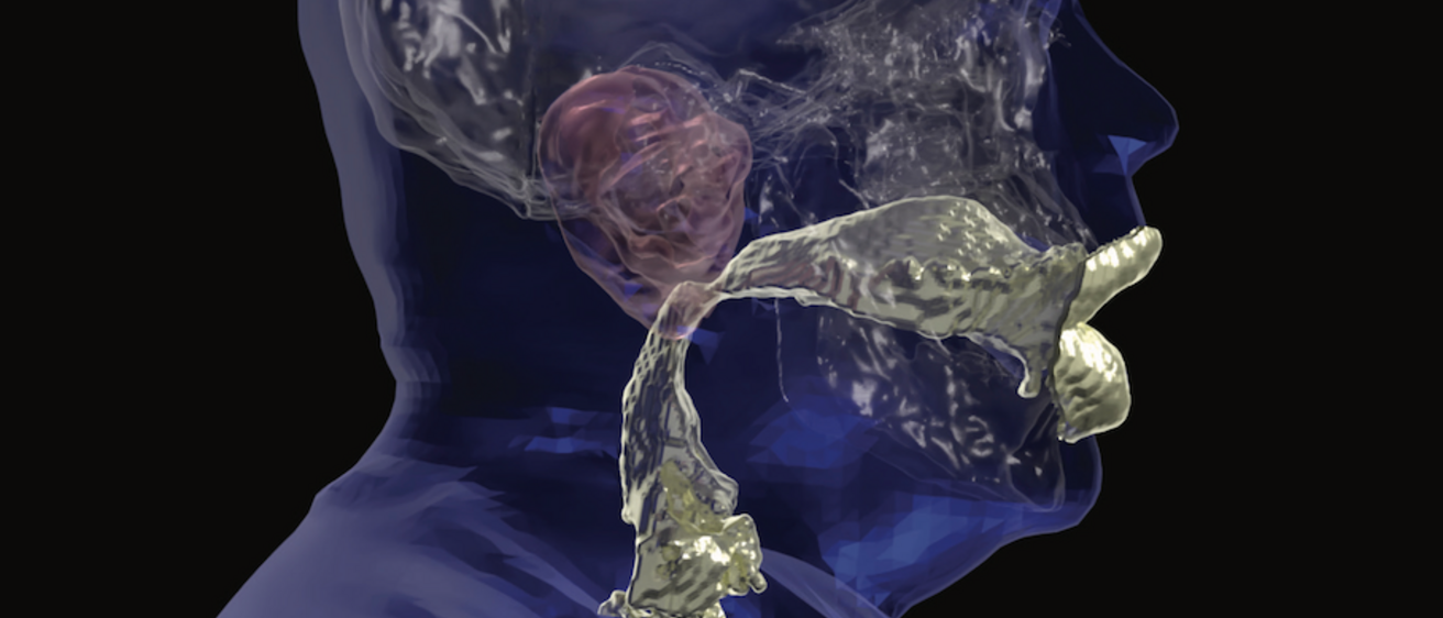 Voicefoundation_coverart