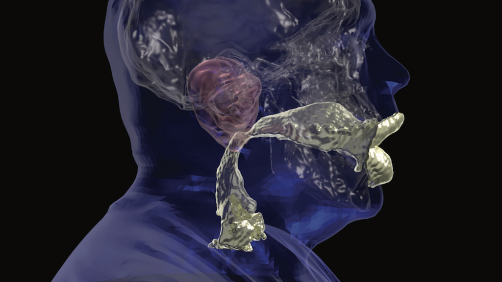 Voicefoundation_coverart